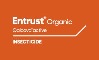 Entrust Organic Qalcova active Insecticide