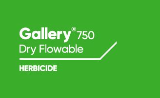 Gallery 750 Herbicide