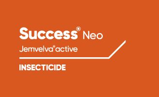 Success Neo Jemvelva active Insecticide