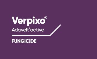 Verpixo Adavelt active