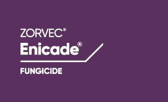 Zorvec Enicade fungicide