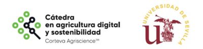 Cátedra en Agricultura digital y sostenibilidad y Universidad de Sevilla