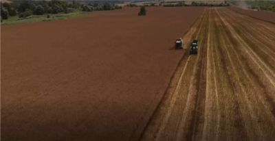 lumiposa at a glance