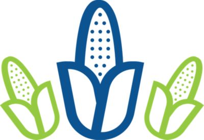 Mataas na kalidad na ani