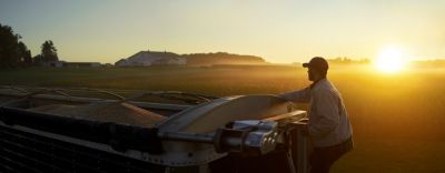 Man in Field at Sunrise