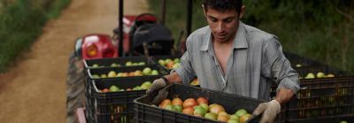 If our food systems progress and thrive, then civilization will too.