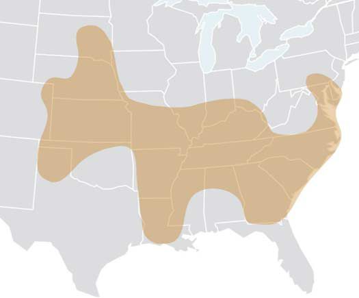 Map of U.S. Corn Belt showing approximate area of Dectes stem borer infestation in soybeans based on Pioneer Field Agronomist observations,