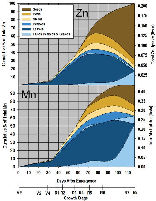 Micronutrient uptake, partitioning, and remobilization through the growing season for a 66 bu/acre soybean crop.