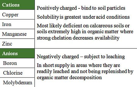 Micronutrients For Crop Production Pioneer Seeds