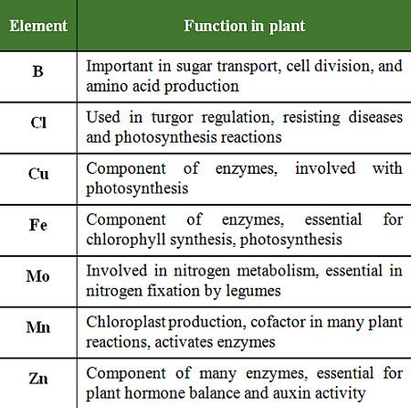 Micronutrients for Crop Production | Pioneer® Seeds