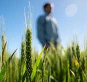 Con el objetivo de mejorar la performance y rendimiento del cultivo de trigo, Stoller presenta un conjunto de soluciones pensadas para atender las necesidades reales del productor durante el ciclo del cultivo.

