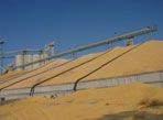 Grain buyers may have different grain moisture requirements.