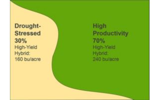 yield results.