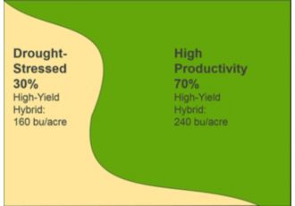 Primarily high-productivity field planted entirely to a high yield potential hybrid, yield results.