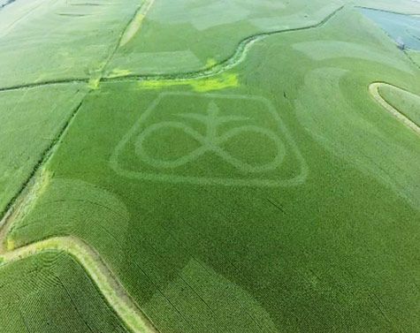 Overhead view of a Pioneer multi-hybrid trial in 2015.