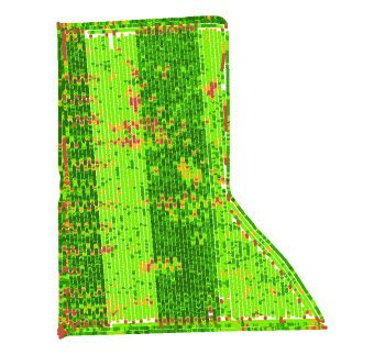Yield map with two combines harvesting in the same field with different yield calibrations.