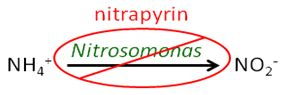 Nitrapyrin bactericidal activity.