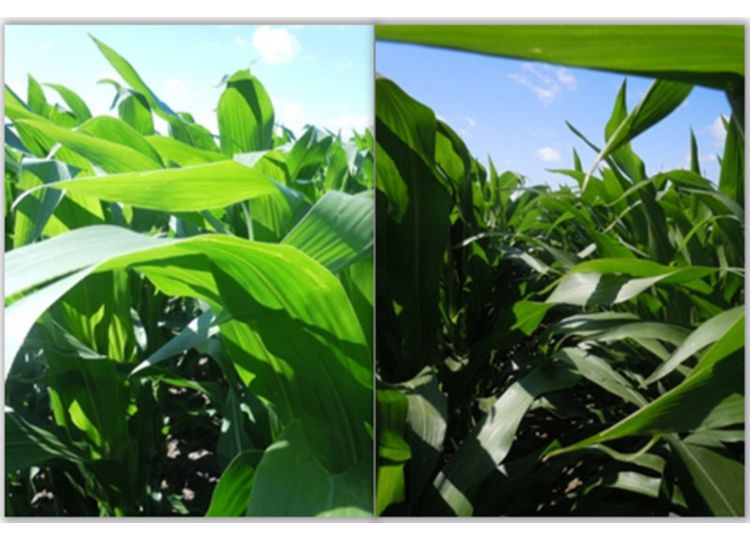 narrower_row_spacing