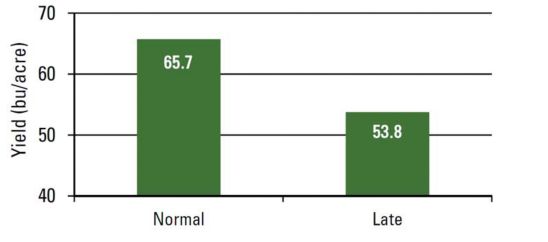 Effect of planting date on soybean yield.