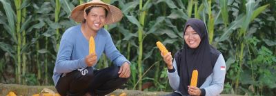 Two farmers holding lettuce
