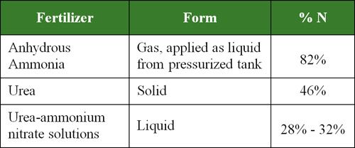 Nitrogen fertilizers most commonly used for field crop production in North America.