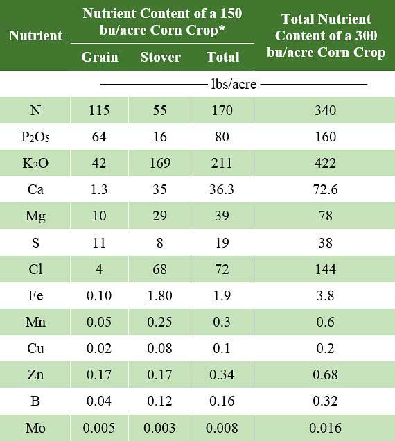 Table estimating amounts of selected nutrients in corn at maturity to support a 300 bu/acre grain yield for hybrids produced before 1968 based on the 1968 nutrient concentrations for 150 bu/acre corn.