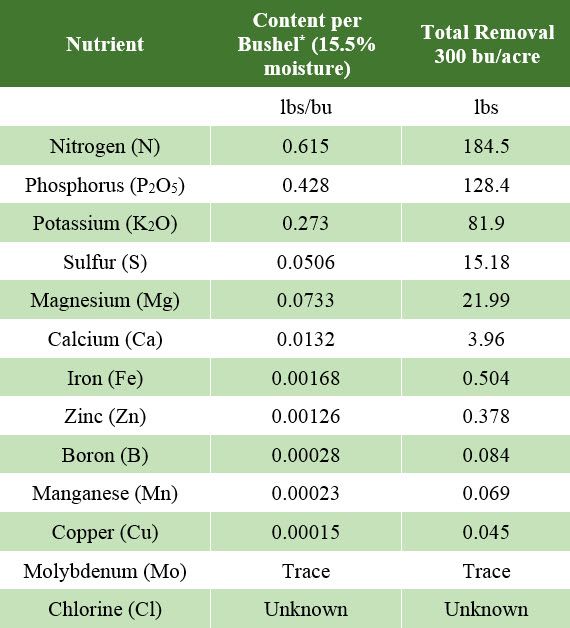 Table listing nutrient content / bu corn grain and total amounts of nutrients removed from the field at 300 bu/a grain yield.