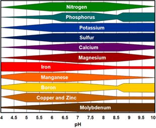 Relative availability of plant nutrients by soil pH.