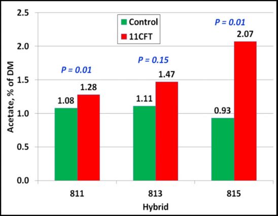 Acetate in control and 11CFT-treated hybrids