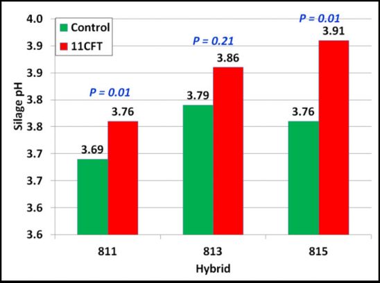 Silage pH in control and 11CFT-treated hybrids