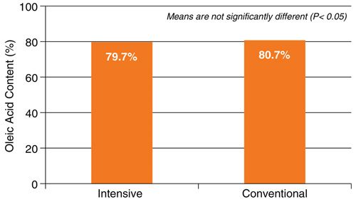 Oleic acid content of Plenish® high oleic soybean varieties under intensive and conventional management practices at Queenstown, Maryland.