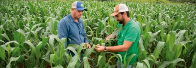 Dois homens conversando no meio de uma lavoura de milho.