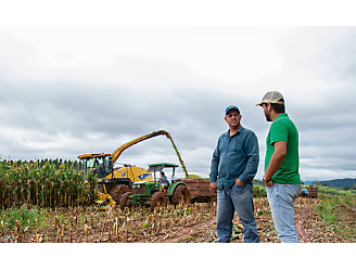 Dois homens conversando e ao fundo sendo colhido milho para silagem.