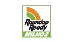Roundup Ready<sup>®</sup> Milho 2