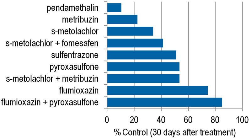 Average Palmer amaranth control with pre-emergence herbicides.
