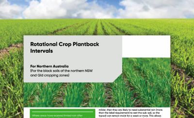 Rotational Crop Plantback Intervals
