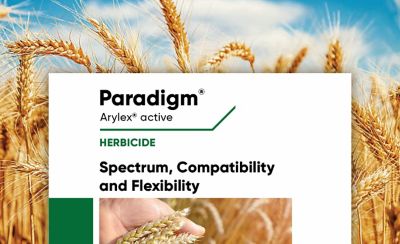 Paradigm - Spectrum Compatibility & Flexibility