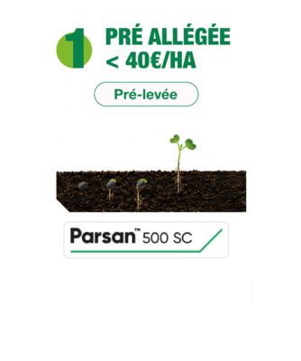 parsan
