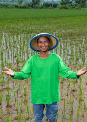 Female farmers harvesting in field