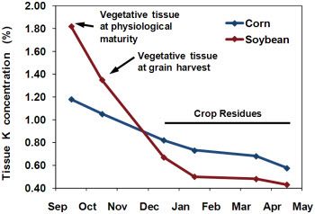 Decline in vegetative potassium (K) by corn and soybean following physiological maturity.