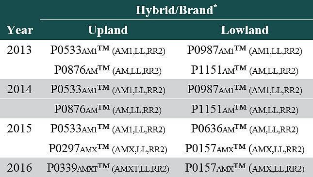 This is a photo of a corn field in mid-summer. A corn canopy needs to intercept 95% or more of photosynthetically active radiation at silking to maximize yield.