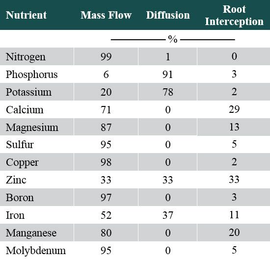This is a table showing mechanisms of plant uptake for differernt soil nutrients including nitrogen, phosphorus and potassium.