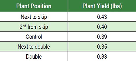 Grain yield of individual plants by position relative to skips and doubles