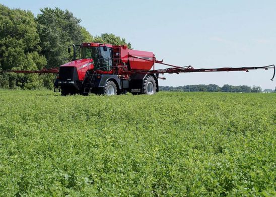 Alfalfa growers have a choice of several effective insecticides to control potato leafhopplers.