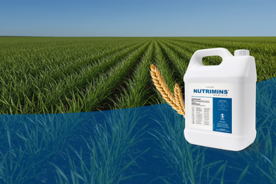 ¿Sabías que en la actualidad el zinc es el micronutriente más deficiente en el mundo? La bibliografía reporta reducciones de rendimiento de hasta un 20% sin alcanzar sintomatología visible.