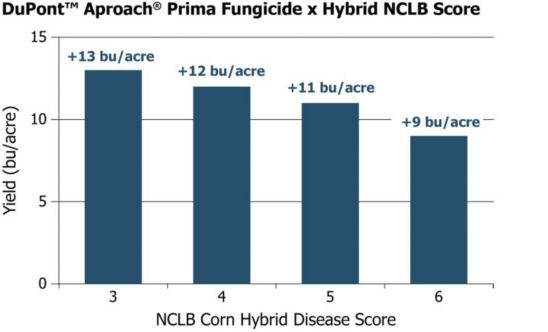 Average yields from 40 Pioneer GrowingPoint agronomy trials in Iowa in 2015 illustrating the yield advantage of a fungicide application on Pioneer® brand hybrids with varying disease scores.