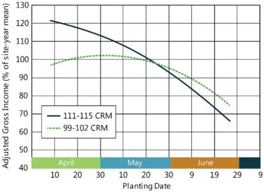Profitability full early hybrids central