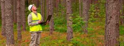 Quem é quem: conheça algumas profissões do campo