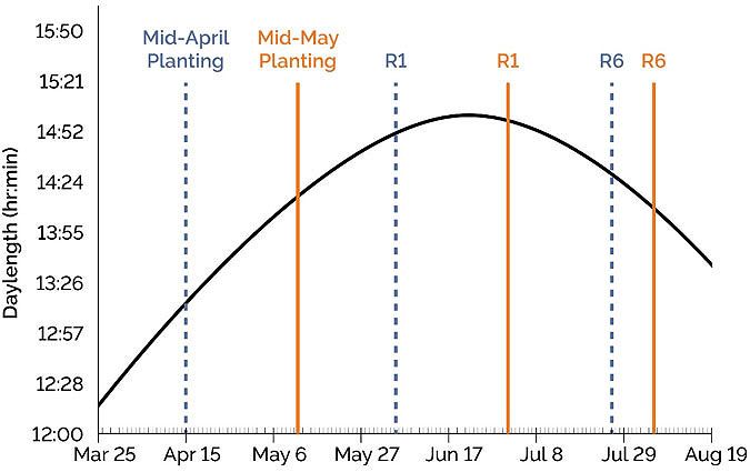 This chart shows R1 and R6 growth stages dates for soybeans planted in mid-April and mid-May near Pittsburg, PA.