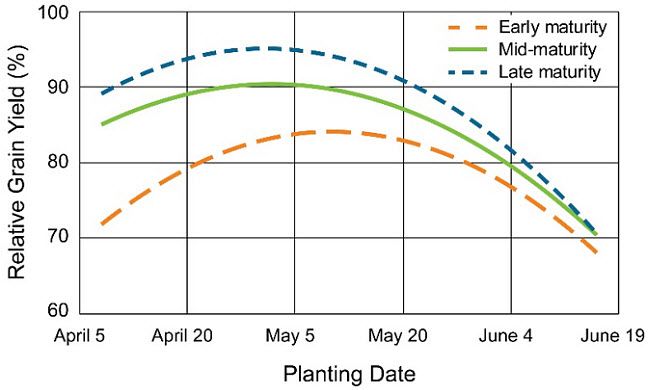 Chart showing the relationship between relative corn grain yield and planting date by hybrid maturity group across 26 site-years in 2009 to 2016.